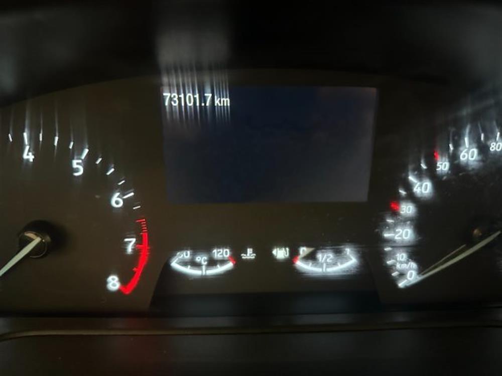 Puma Puma 1.000 BENZINA HYBRID