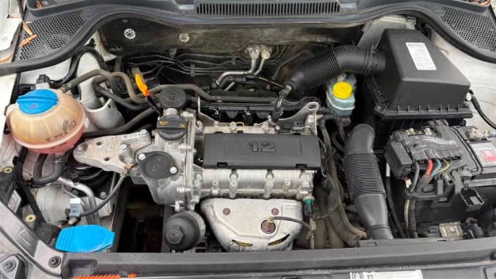 Polo Polo 1.2 70 CV 5p. Comfor