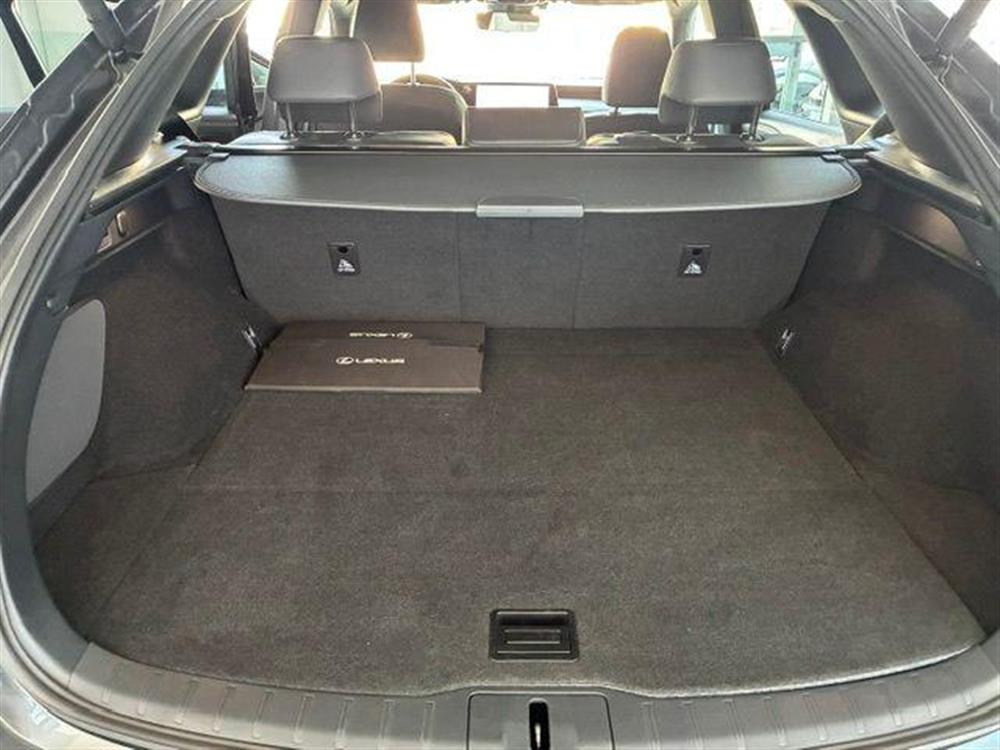RX 350 RX 350 h Premium Hybrid Exe