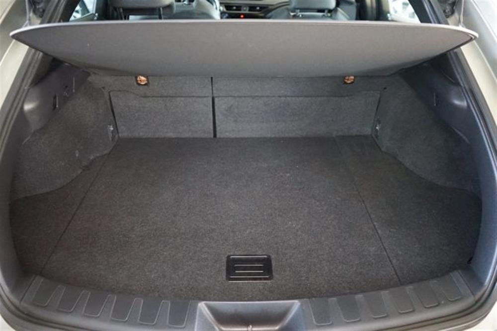 UX 250h UX 250h Business FULL HYBRID