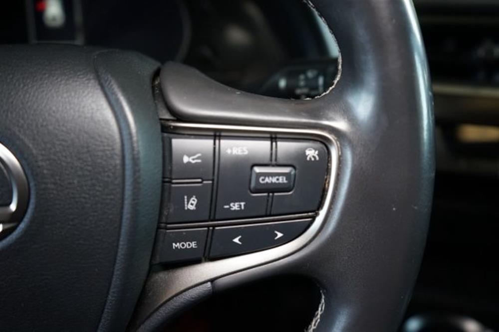 UX 250h UX 250h Business FULL HYBRID