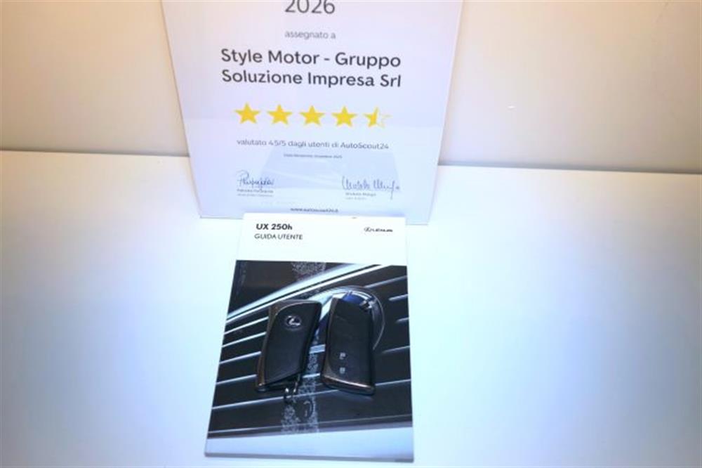 UX 250h UX 250h Business FULL HYBRID