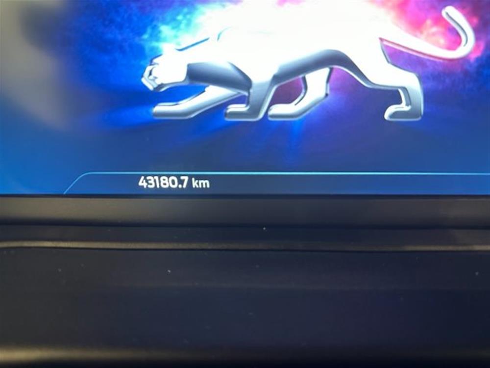 Puma Puma 1.000 BENZINA HYBRID