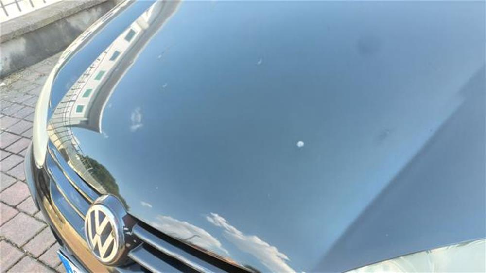 Golf Golf 1.9 TDI 5p. Trendlin
