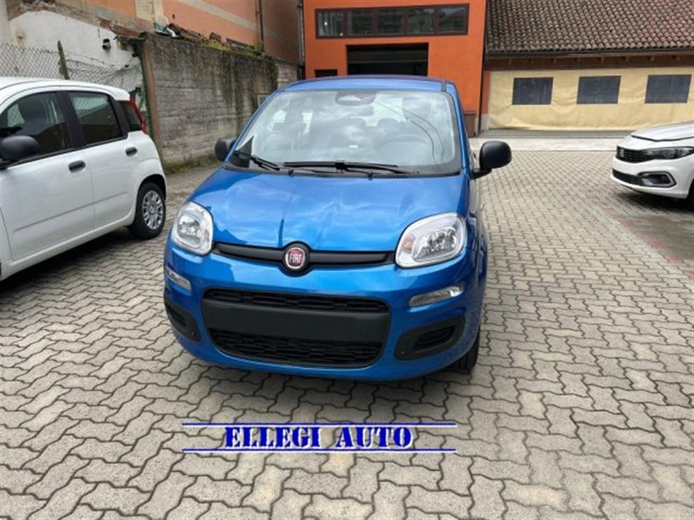 Panda Panda PROMO FINANZIAMENTO