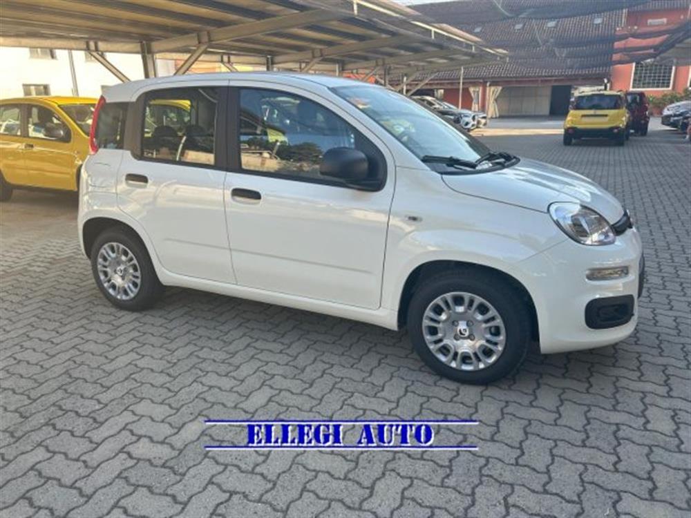 Panda Panda 1.0 HYBRID ICON 5 po