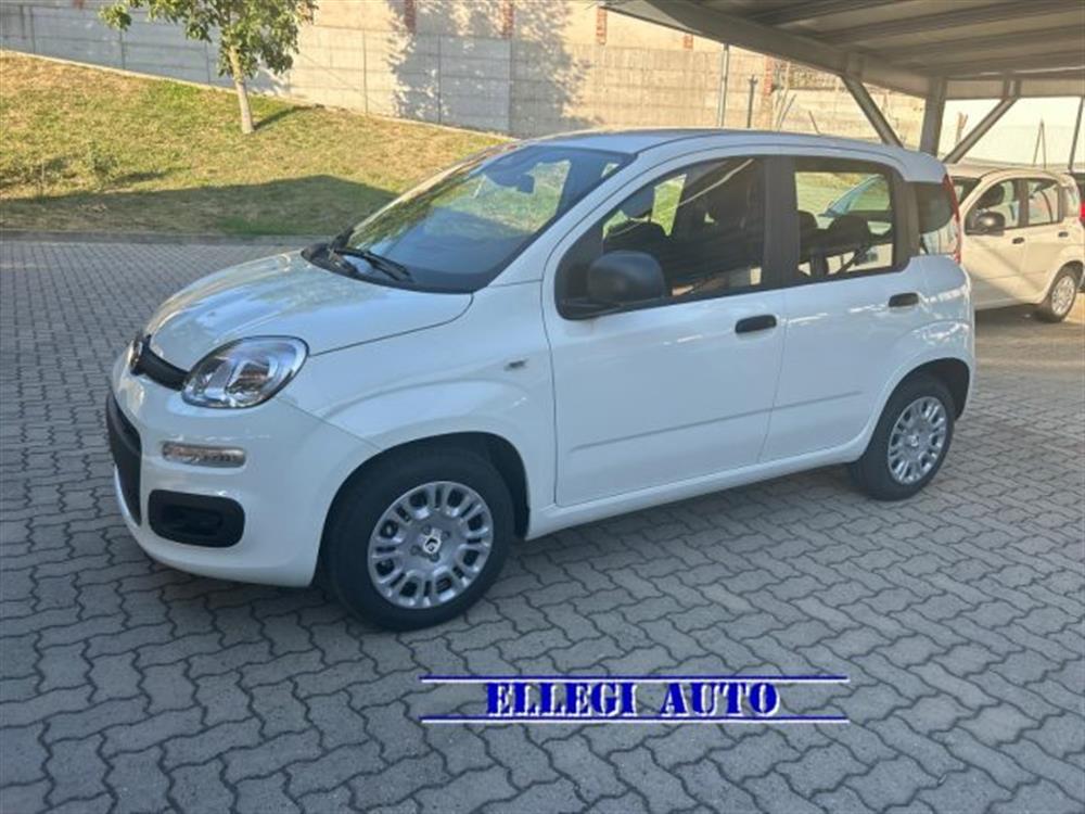 Panda Panda 1.0 HYBRID ICON 5 po