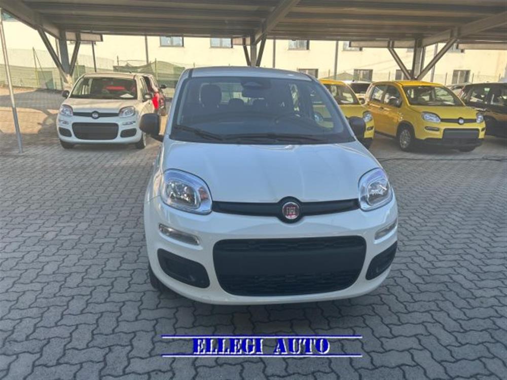 Panda Panda 1.0 HYBRID ICON 5 po