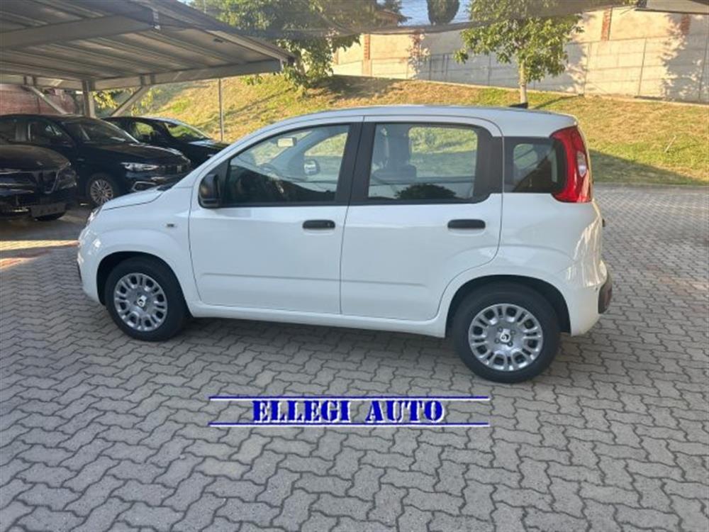 Panda Panda 1.0 HYBRID ICON 5 po