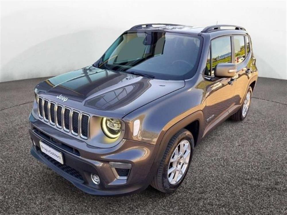 Renegade Renegade 2019 1.0 T3 Limited