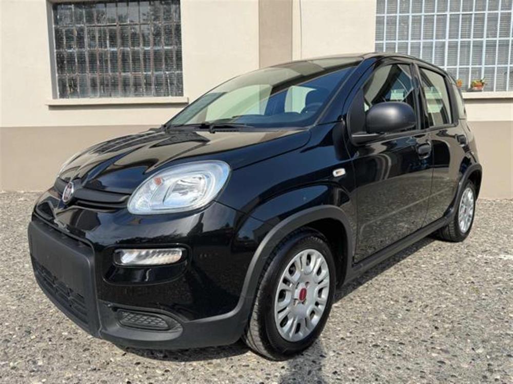 New Panda New Panda IN PROMOZIONE!!!!!1.