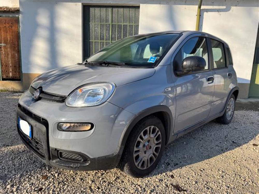 New Panda New Panda IN PROMOZIONE!!!!1.0
