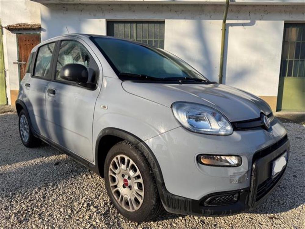 New Panda New Panda IN PROMOZIONE!!!!1.0