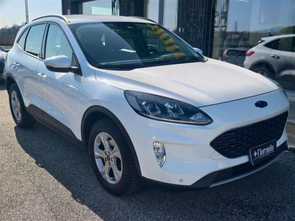 Kuga Kuga 1.5ds 120 CV 2WD Tit