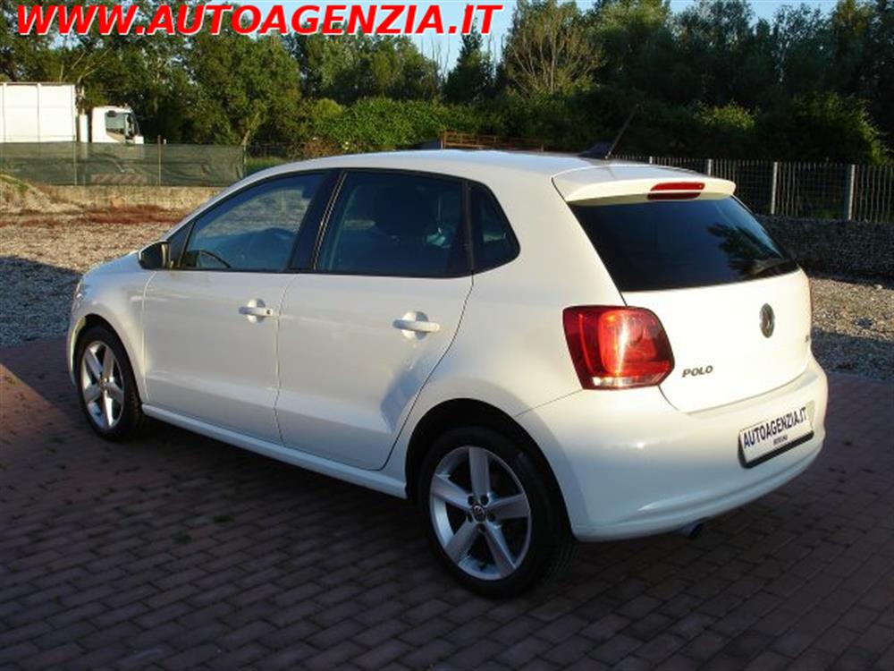 Polo Polo 1.6 TDI 90CV 5 porte