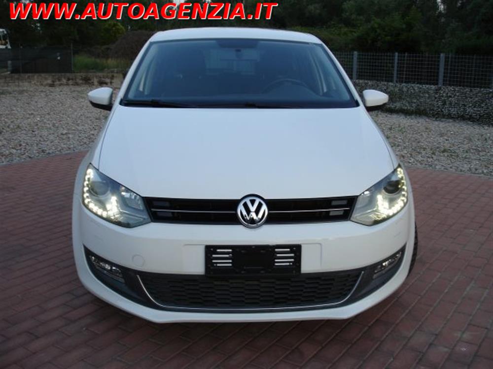 Polo Polo 1.6 TDI 90CV 5 porte