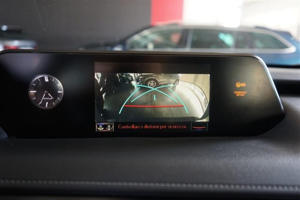 UX 250h UX 250h Business FULL HYBRID