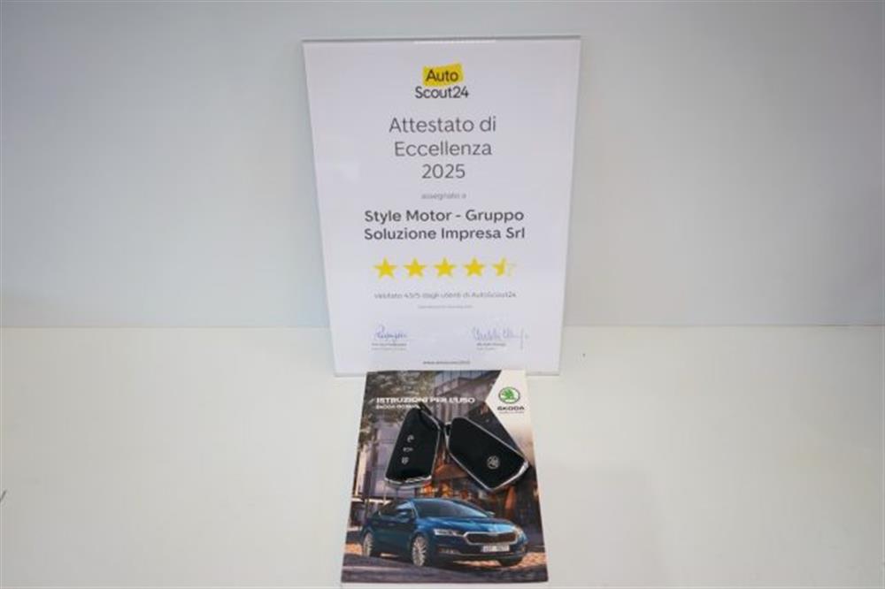 Octavia Octavia 2.0 TDI EVO SCR DSG