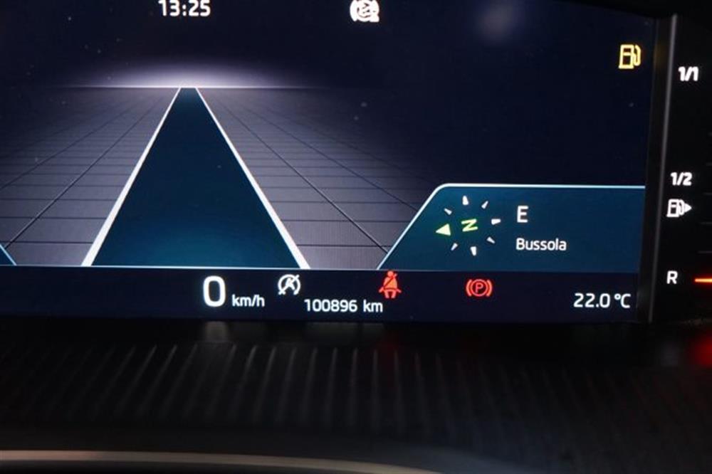 Octavia Octavia 2.0 TDI EVO SCR DSG