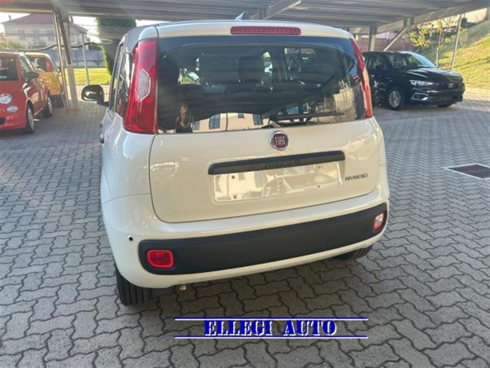 Panda Panda PROMO FINANZ. 1.0 HY