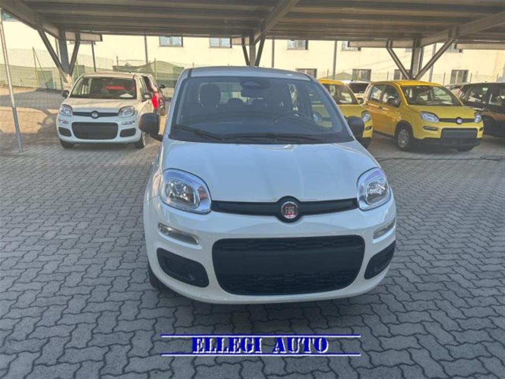 Panda Panda PROMO FINANZ. 1.0 HY