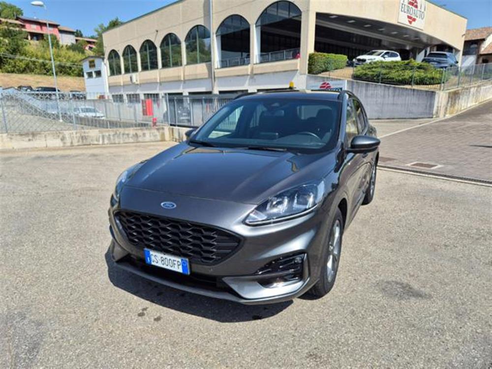 Kuga Kuga 2.0 EcoBlue 120 CV a