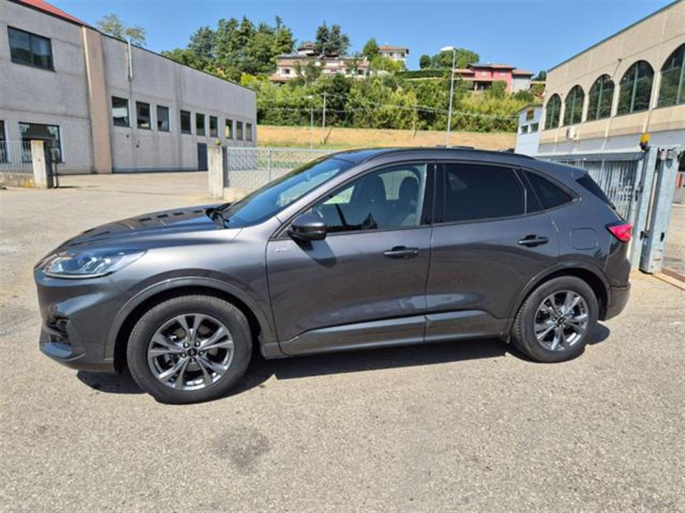 Kuga Kuga 2.0 EcoBlue 120 CV a