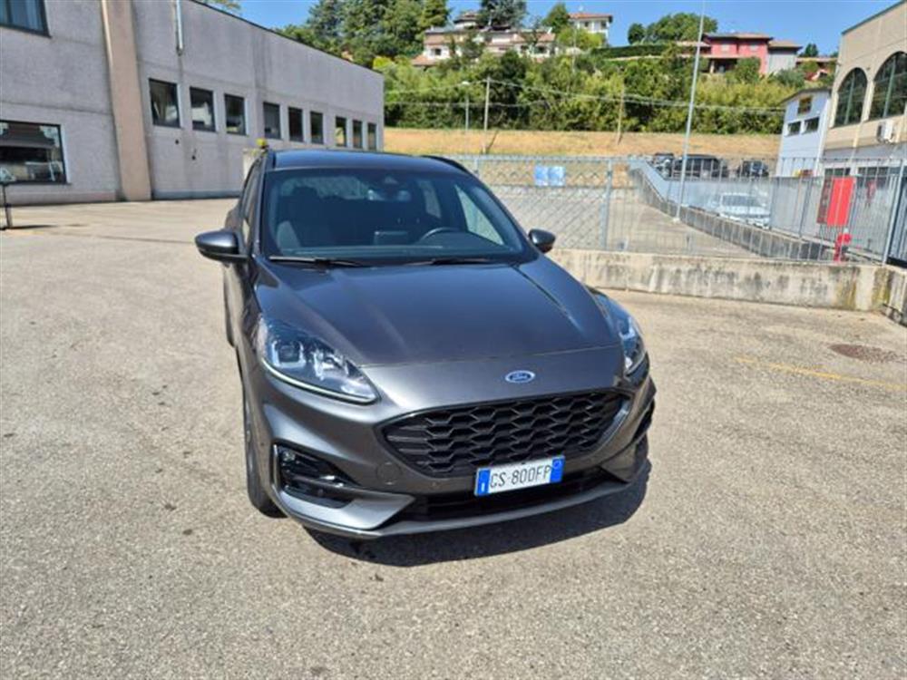 Kuga Kuga 2.0 EcoBlue 120 CV a