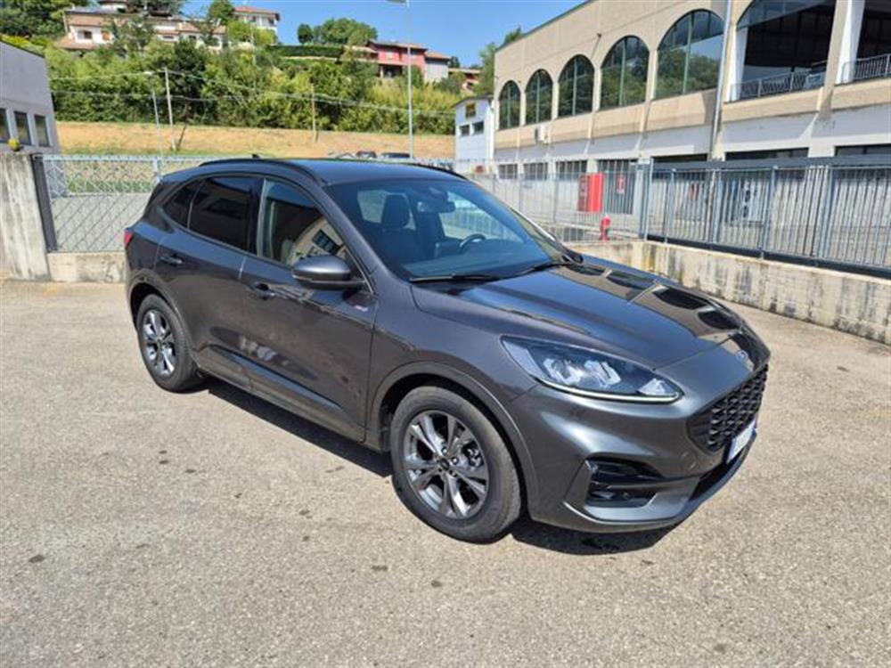 Kuga Kuga 2.0 EcoBlue 120 CV a