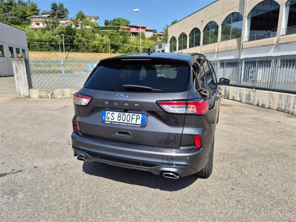 Kuga Kuga 2.0 EcoBlue 120 CV a