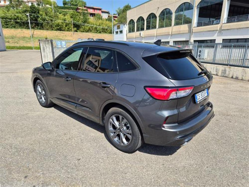 Kuga Kuga 2.0 EcoBlue 120 CV a