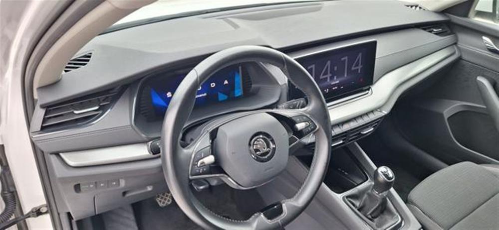 Octavia Octavia 2.0 TDI EVO SCR Wago