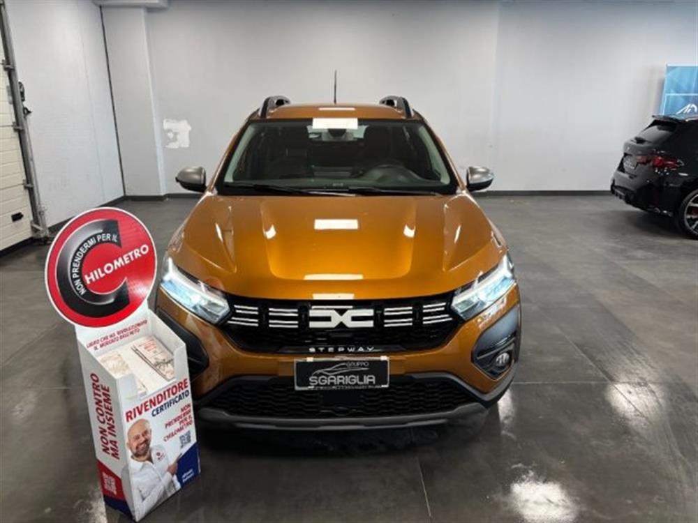 Sandero Sandero Stepway 1.0 GPL ECO-