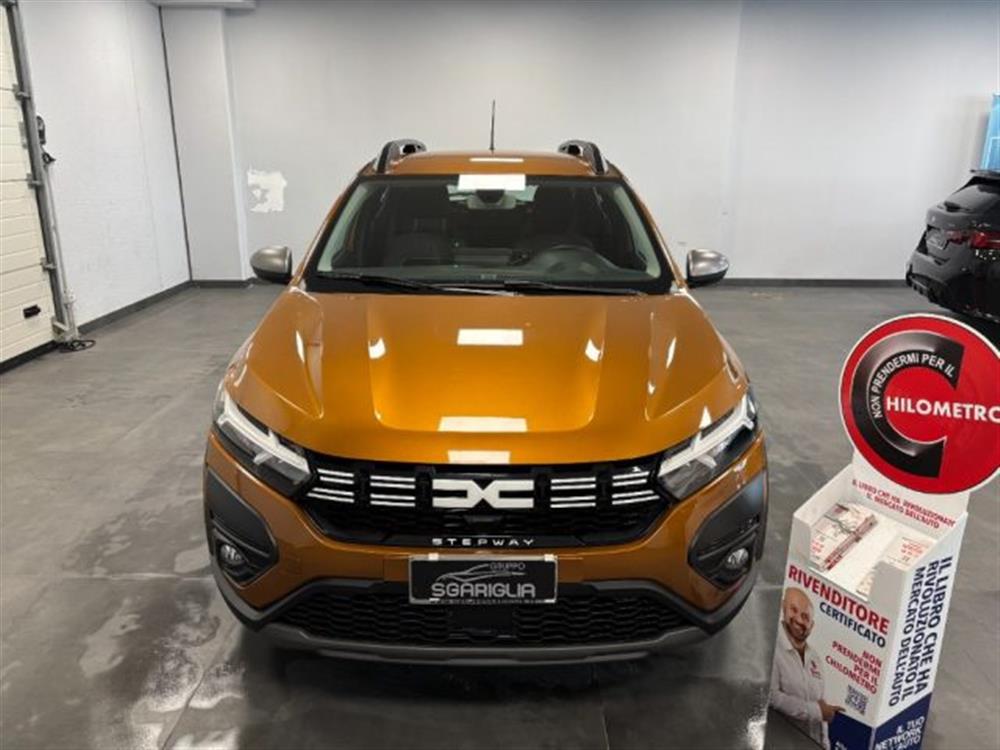 Sandero Sandero Stepway 1.0 GPL ECO-