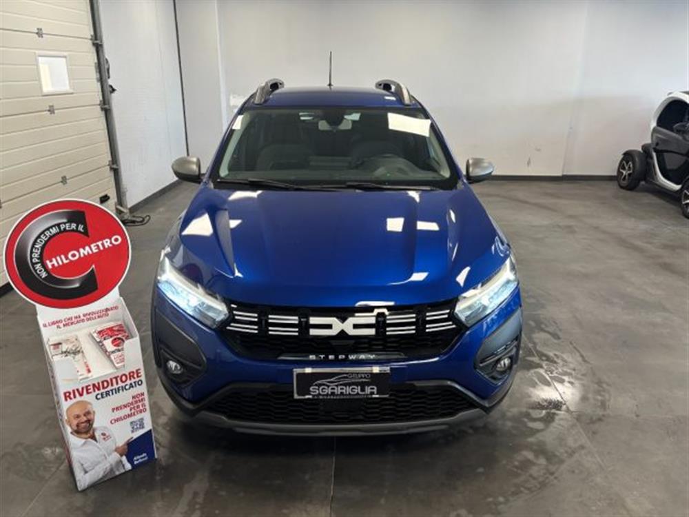 Sandero Sandero Stepway 1.0 GPL ECO-