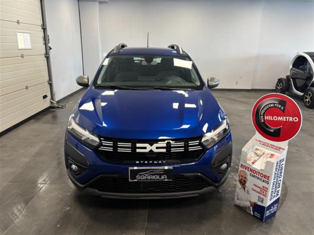 Sandero Sandero Stepway 1.0 GPL ECO-