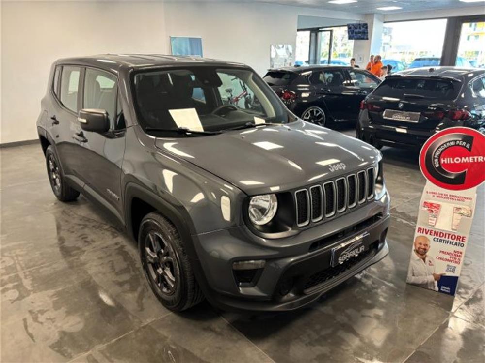 Renegade Renegade 1.6 Mjt Longitude