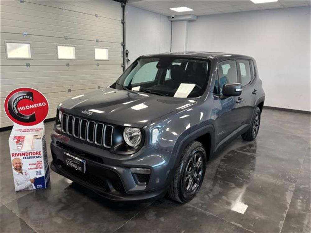 Renegade Renegade 1.6 Mjt Longitude