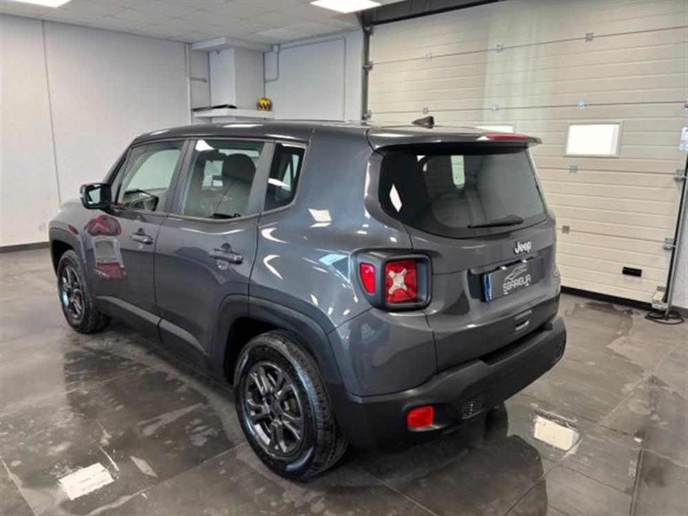 Renegade Renegade 1.6 Mjt Longitude
