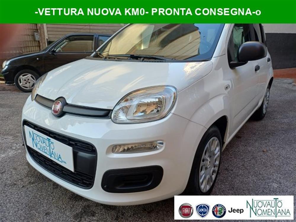 Panda Panda Pandina 1.0 FireFly