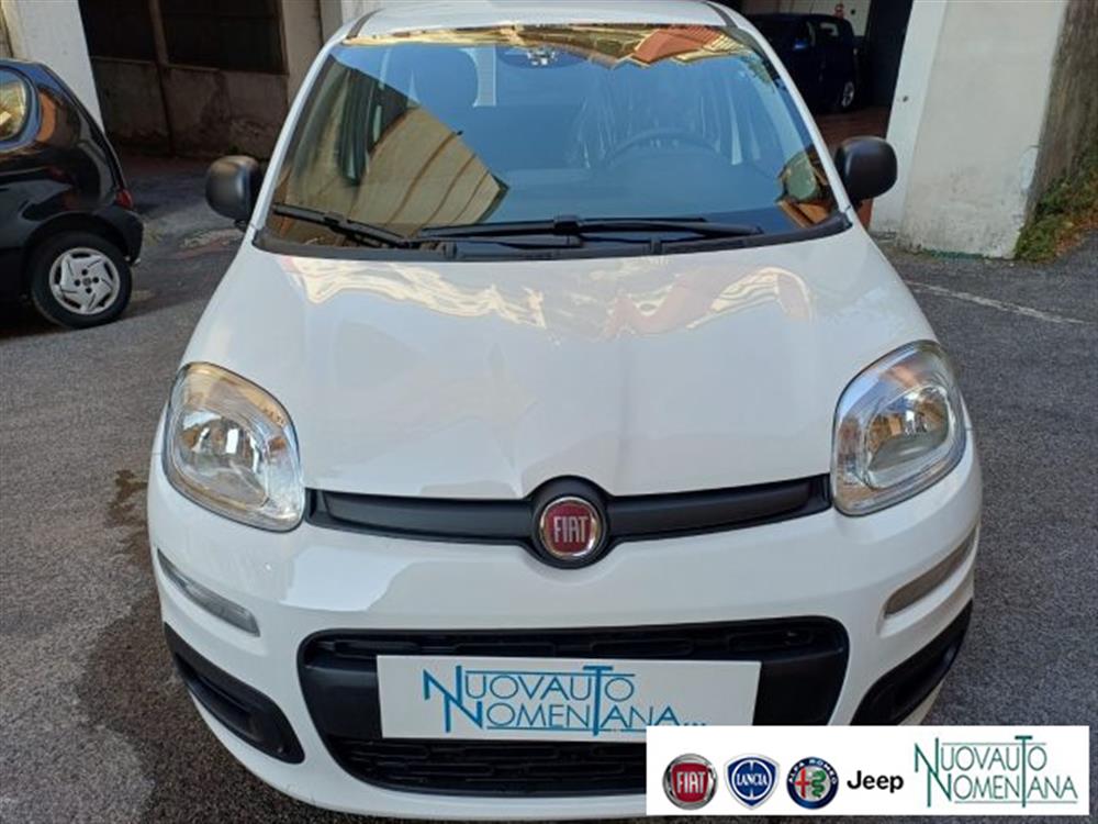 Panda Panda Pandina 1.0 FireFly