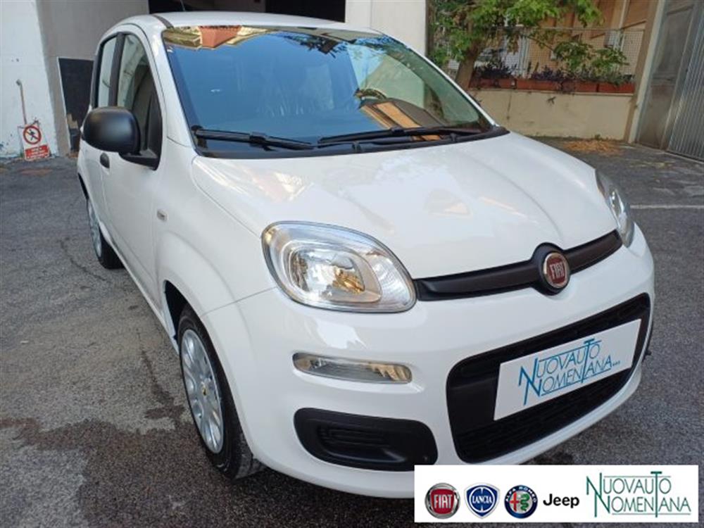 Panda Panda Pandina 1.0 FireFly