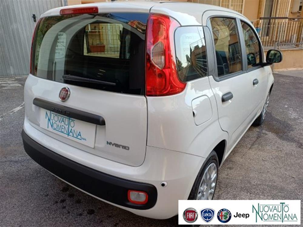 Panda Panda Pandina 1.0 FireFly
