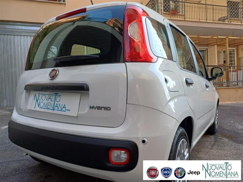 Panda Panda Pandina 1.0 FireFly