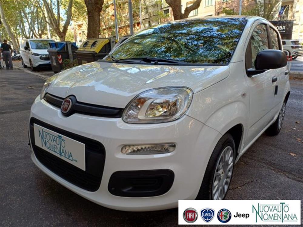 Panda Panda Pandina 1.0 FireFly