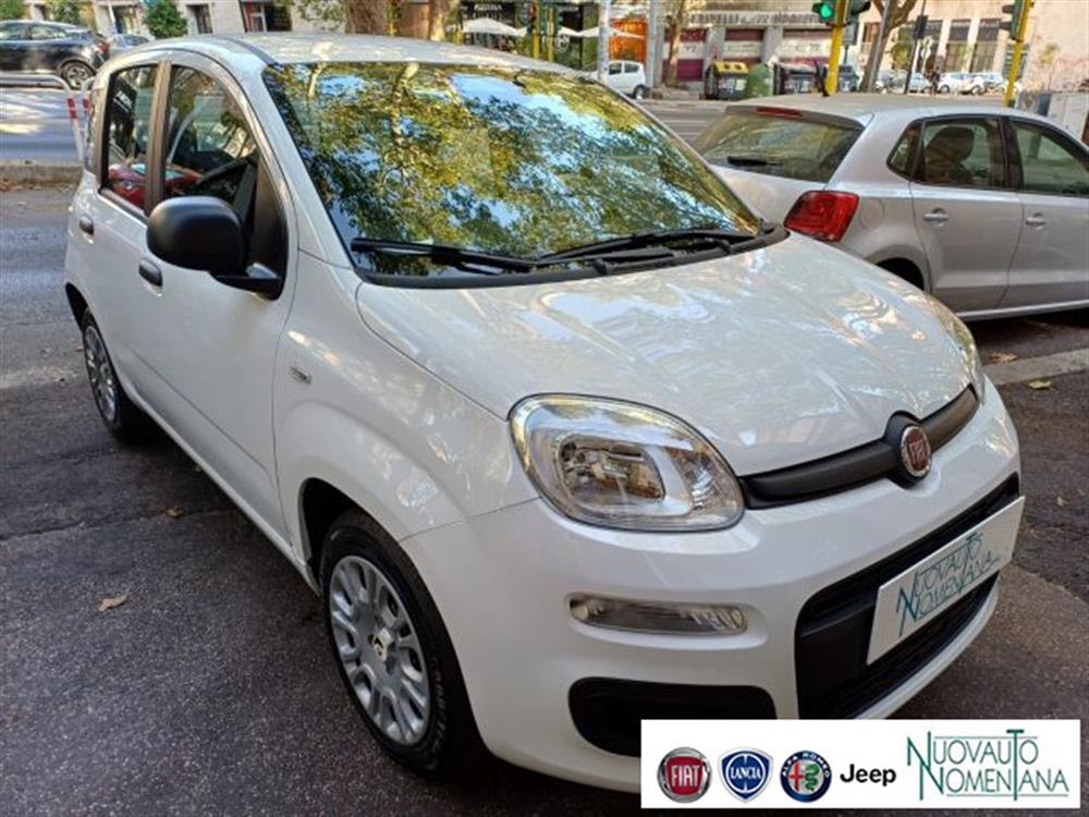 Panda Panda Pandina 1.0 FireFly