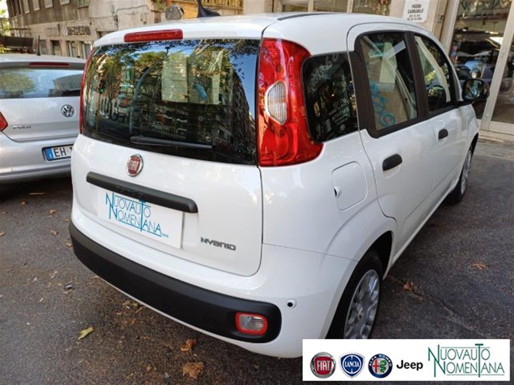 Panda Panda Pandina 1.0 FireFly