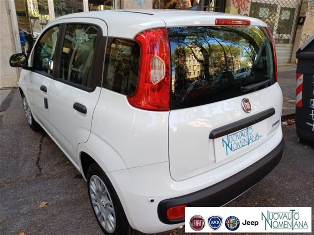 Panda Panda Pandina 1.0 FireFly