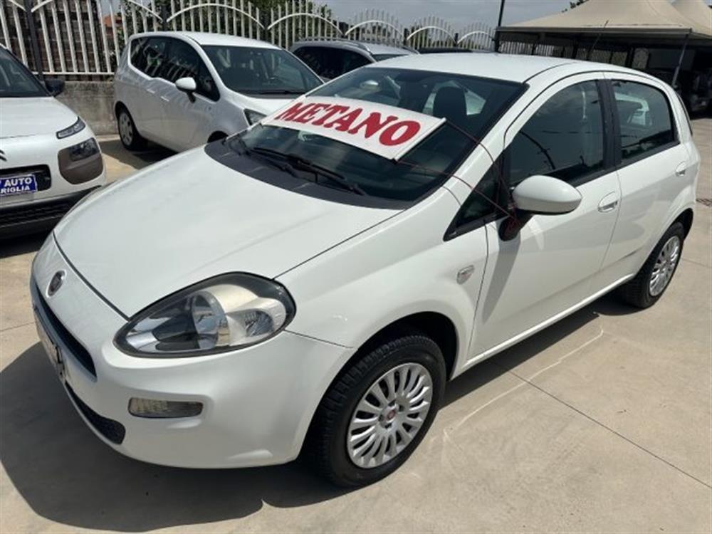 Punto Punto 1.4 5P Natural Power