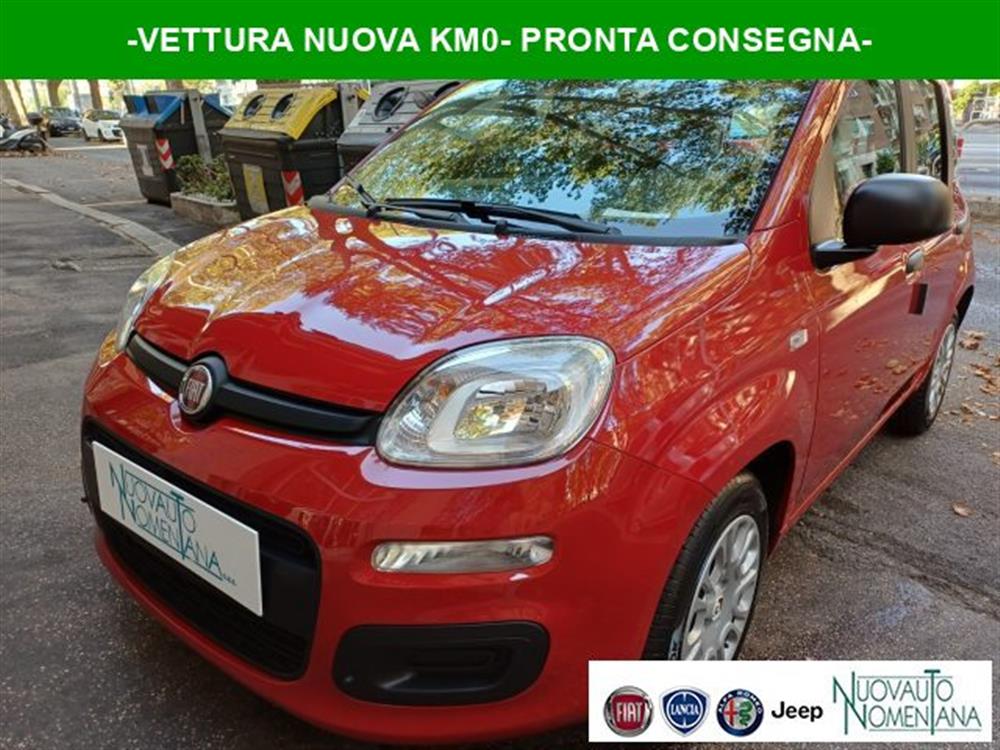 Panda Panda Pandina 1.0 FireFly